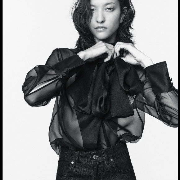 Zara Tops Zara Organza Bow Blouse 223 Designer Poshmark